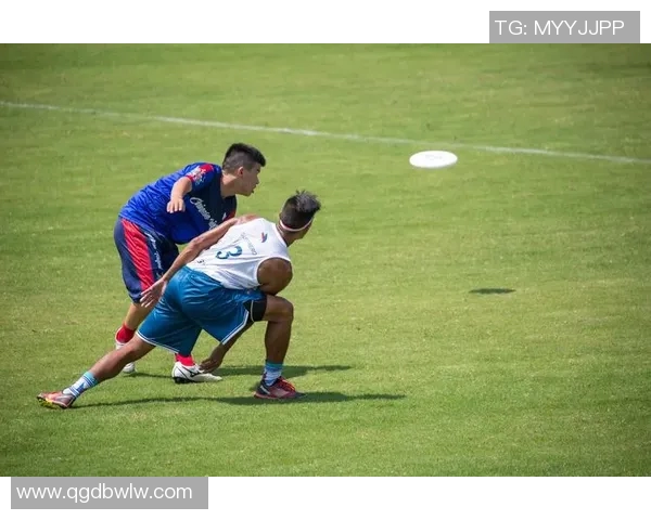 飞盘运动新风潮上海飞盘队展现灵活性与团队精神的完美结合